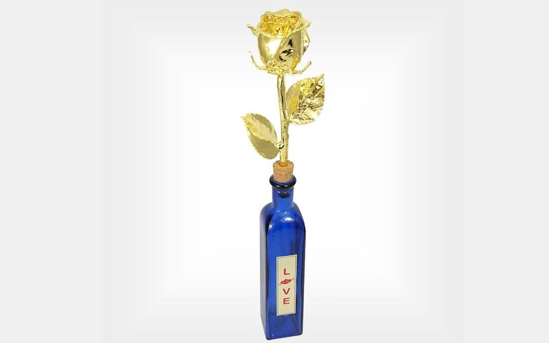 18-Inch Gold Dipped Rose & Personalized Message in a Bottle