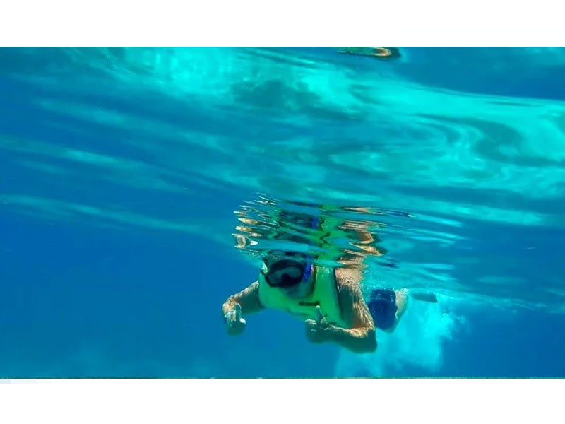Reef Snorkel Key West 3 Hours Morning Early Bird Special Tour Package