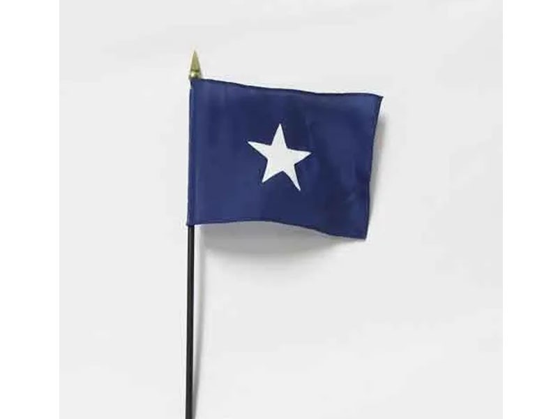 4” x 6” Bonnie Blue Stick Flag
