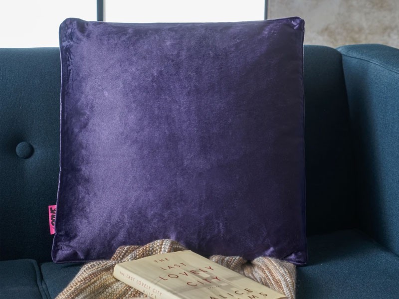 Isadora New Velvet Throw Pillow