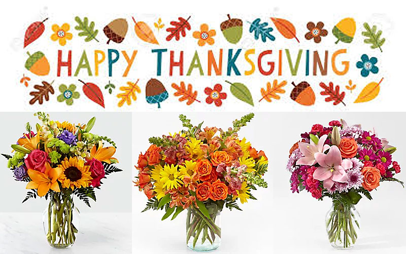 Best Thanksgiving Flowers & Arrangement on Sale