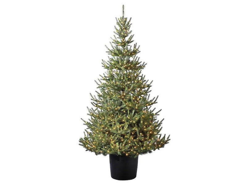Holiday Living 7-ft Abies Fir Pre-lit Traditional Artificial Christmas Tree