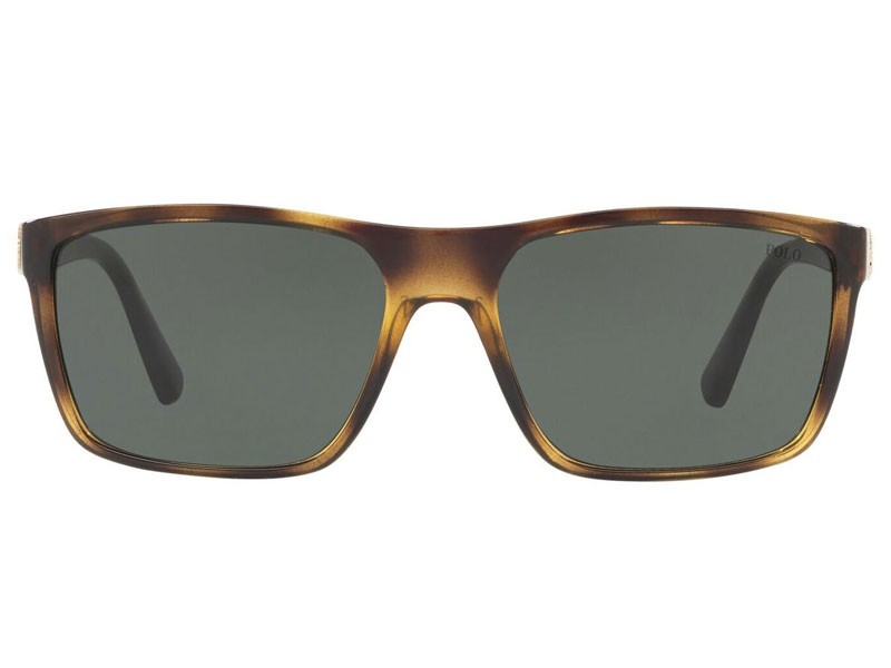 Polo Shiny Transparent Dark Havana Sunglasses For Men