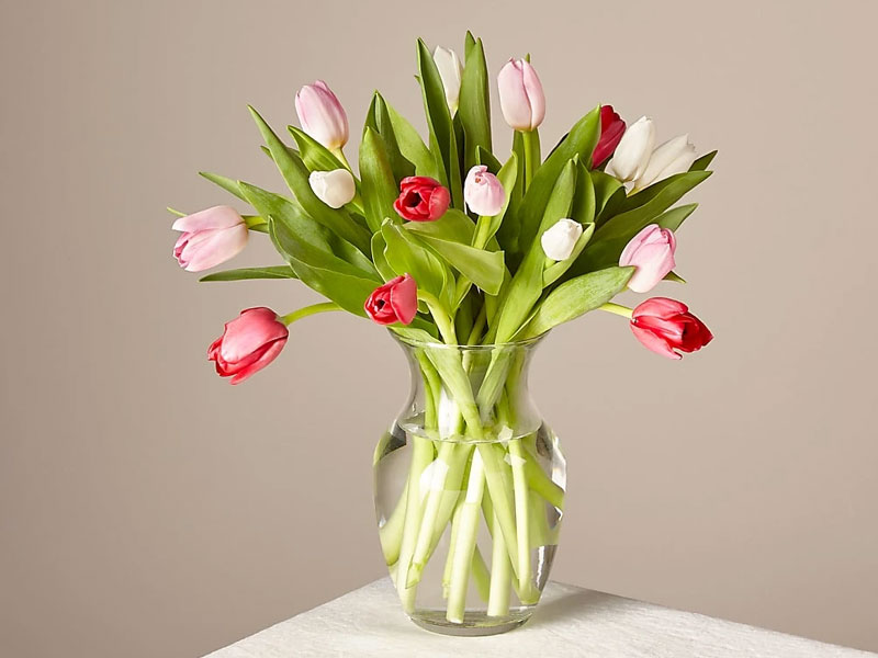Budding Love Tulip Bouquet Original With Vase