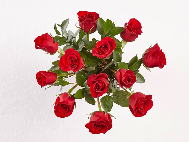 12 Red Roses With Vase