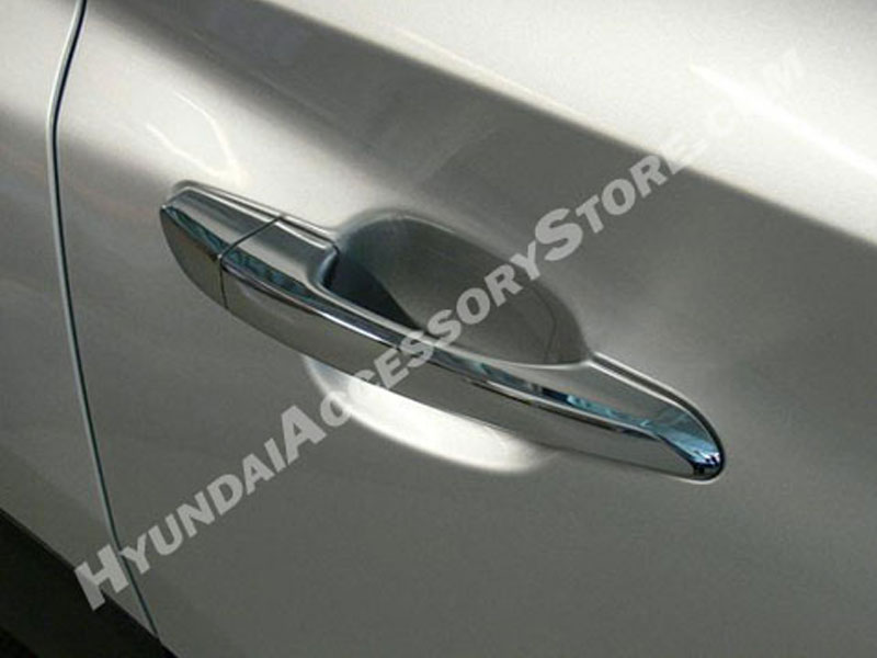 Hyundai Clear Door Pocket Protector