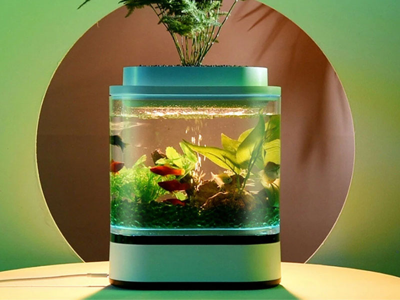 Geometry Mini Fish Tank USB Charging Self-Cleaning Aquarium