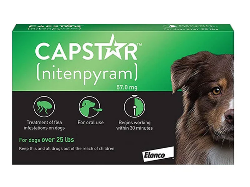 Capstar For Dogs Dog Flea And Tick Treatment
