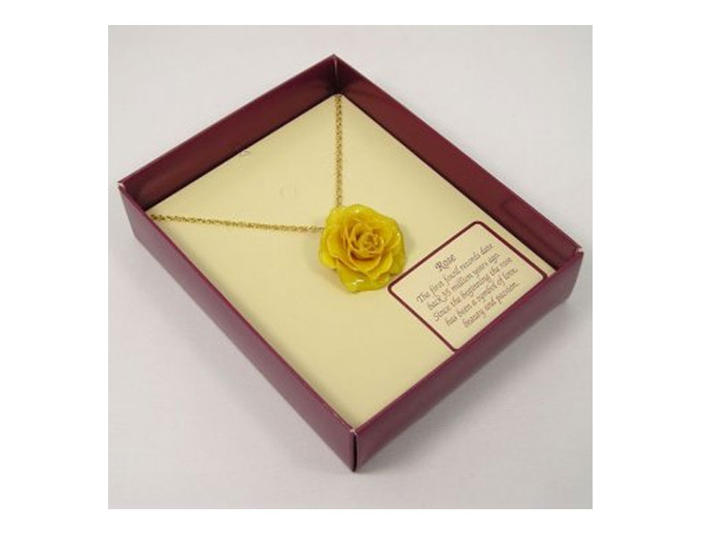 Women's Preserved Real Rose Pendant & 24k Gold Chain