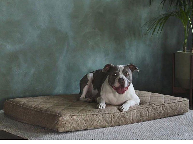 Brentwood Home Griffith Pet Bed