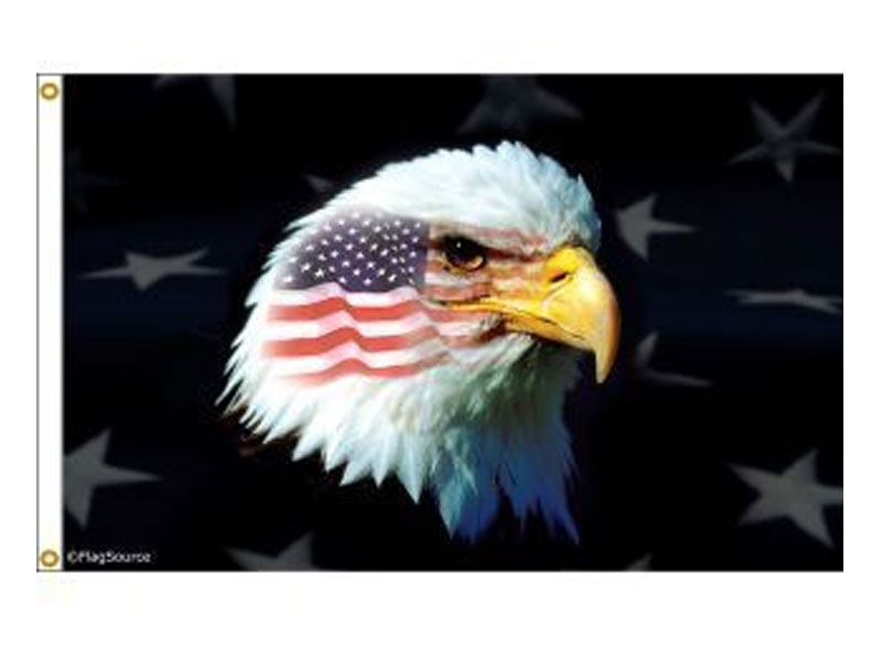 Patriotic American Eagle Flag