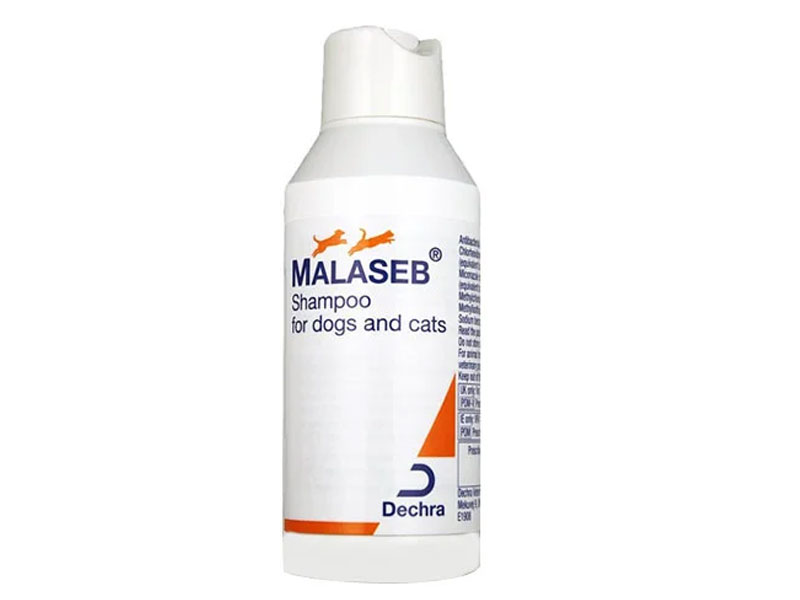 Malaseb Medicated Shampoo For Cats
