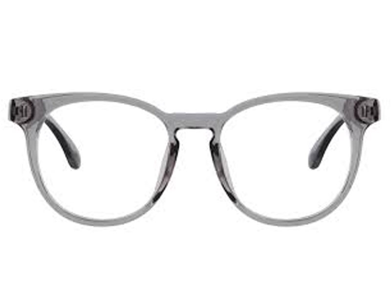 Bensenville Round Gray Eyeglasses For Women & Men