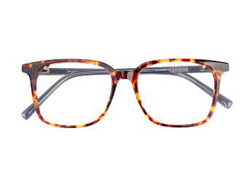 Prairie Rectangle Tortoise/Gray Eyeglasses For Men And Women