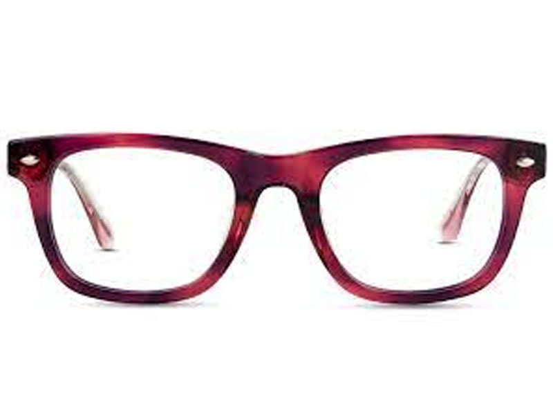 Norwood Horn Purple Pink Eyeglasses For Women