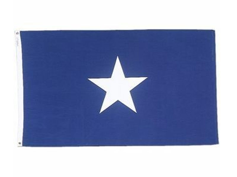 Bonnie Blue Flags Assorted Sizes