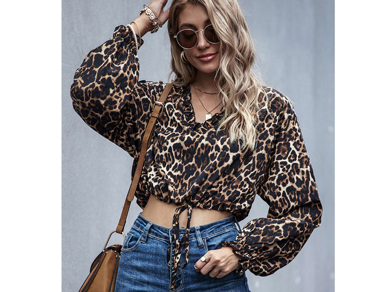 Women's Blouse Coffee Brown Leopard Print V Neck Casual Long Polyester Top