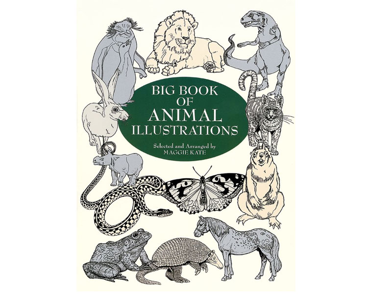 Big Book Of Animal Illustrations (eBook)