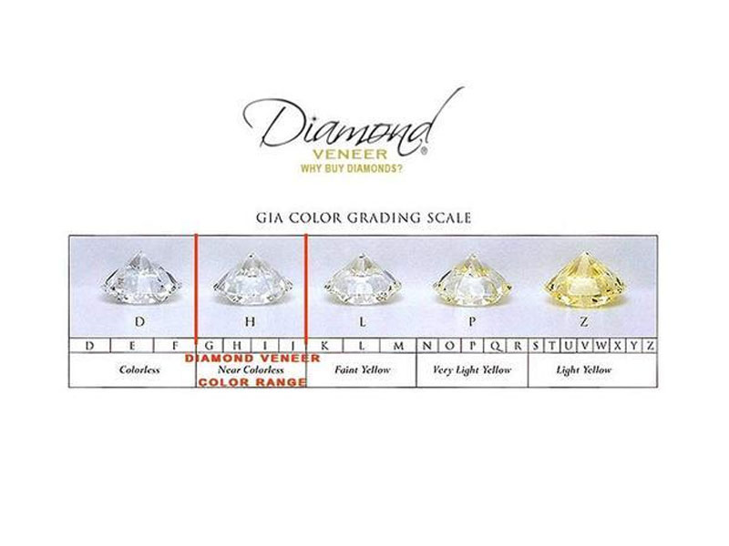 Diamond Veneer Cubic Zirconia Sterling silver Designer Stud Earrings For Women