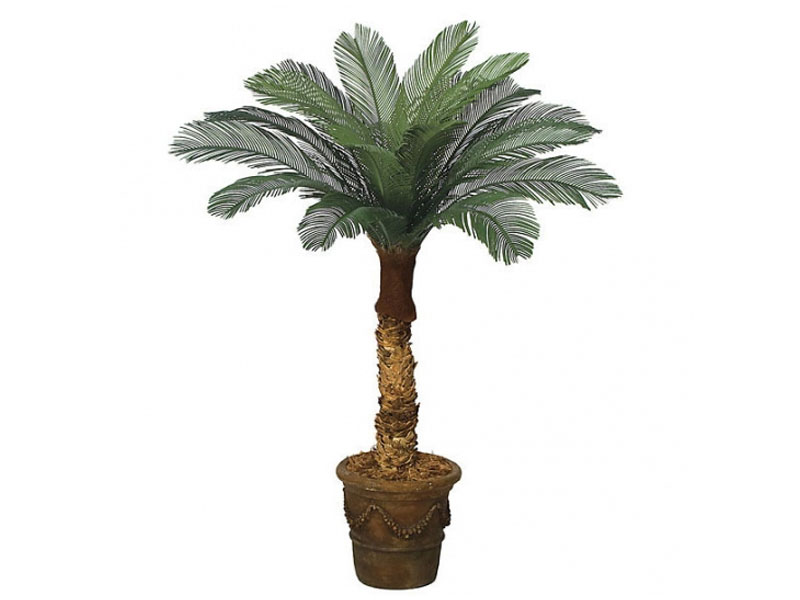 4 foot Artificial Outdoor Cycas Palm 18 Fronds & Natural Trunk
