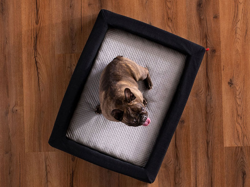 Layla Pet Bed