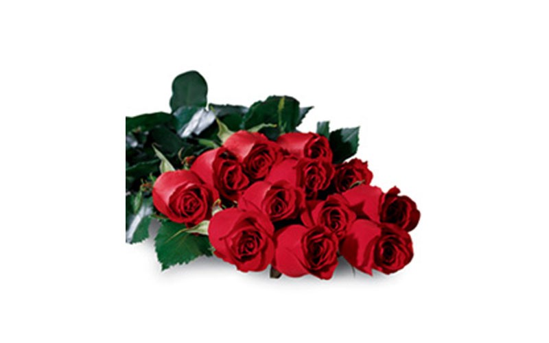 One Dozen Boxed Love Roses