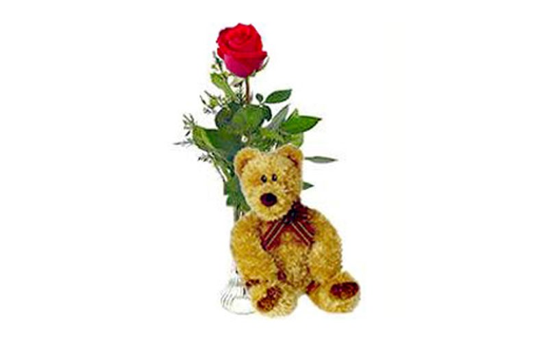 Single Red Love Rose & Bear
