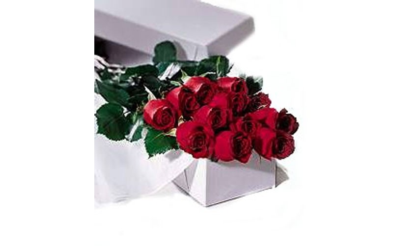 One Dozen Boxed Red Roses
