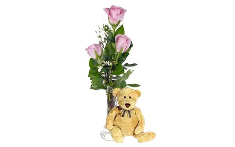 3 Pink Love Roses & Bear