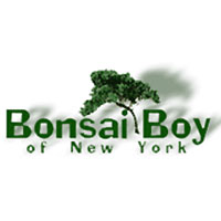 Bonsai Boy Coupos, Deals & Promo Codes